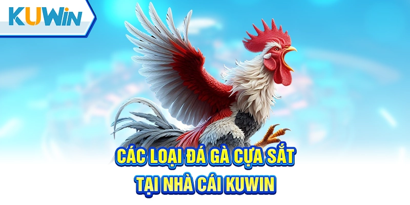 Một số loại đá gà cựa sắt phổ biến cho kê thủ