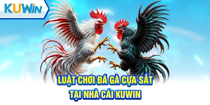 Hướng dẫn luật siêu thông dụng